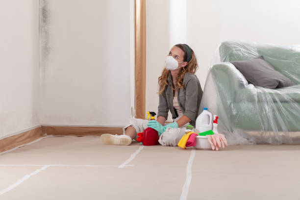 Reliable Mold Removal contractor in Scottsdale, AZ by WQB Mold Removal